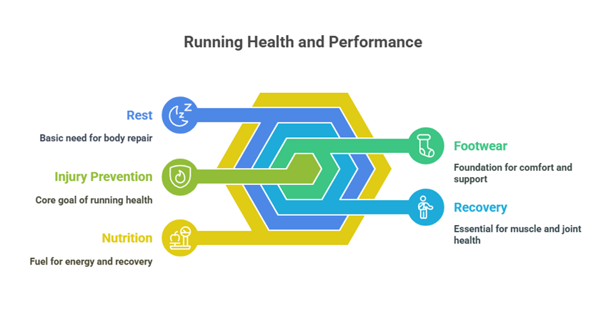 Running Injury Prevention The Science Behind Safer Strides