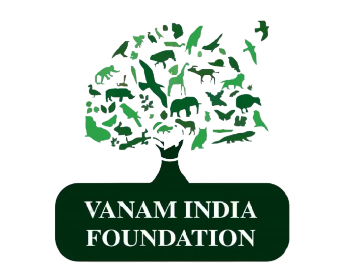 5e4285f3289ab_1581417971 (2)